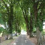 Ferienhaeuschen Kastaniennallee Im Herzen Von Ruegen *