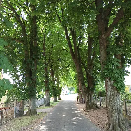 Ferienhaeuschen Kastaniennallee Im Herzen Von Ruegen *