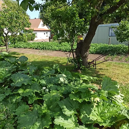 Ferienhaeuschen Kastaniennallee Im Herzen Von Ruegen *