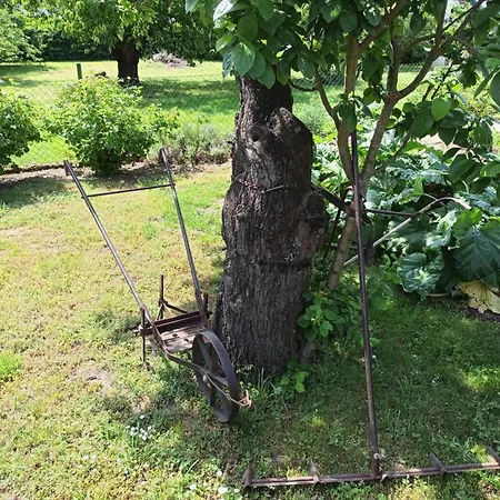 Ferienhaeuschen Kastaniennallee Im Herzen Von Ruegen Holiday home *